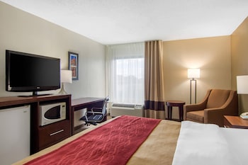 Standard Room, 1 King Bed, Non Smoking