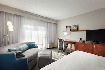 Room, 1 King Bed with Sofa bed (Mobility Accessible, Tub)