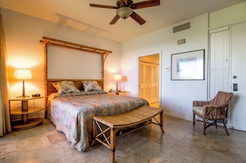 Villa, 2 Bedrooms, Oceanfront (Bay 19G2 Gold 2.5 Bath)