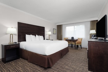 Room, 1 King Bed, Non Smoking