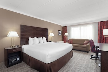 Room, 1 King Bed, Non Smoking
