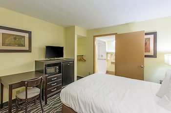 Room, 1 King Bed, Non Smoking (Wet Bar)