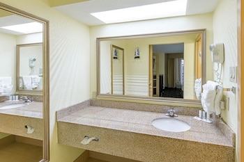 Room, 1 King Bed, Non Smoking (Wet Bar)