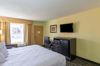Room, 1 King Bed, Non Smoking (Wet Bar)
