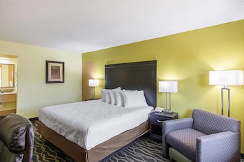 Room, 1 King Bed, Non Smoking (Wet Bar)