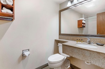 Standard Room, 1 King Bed, Non Smoking, Refrigerator & Microwave (Oversized Room;with Sofabed)