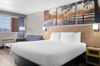Room, 1 King Bed, Non Smoking