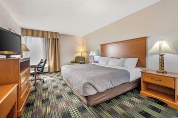 Room, 1 King Bed, Accessible, Non Smoking
