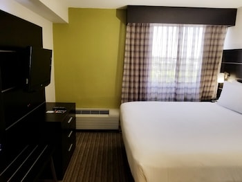 Suite, 1 Bedroom