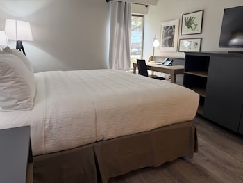 Room, 1 King Bed, Non Smoking