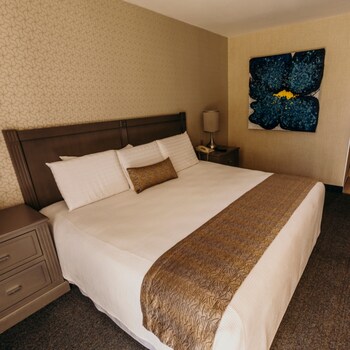 Suite, 1 King Bed