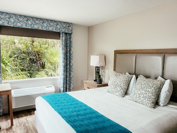 Premier Island View with One King Bed