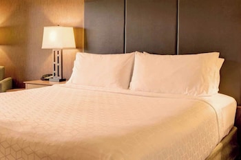 Room, 1 King Bed (view)