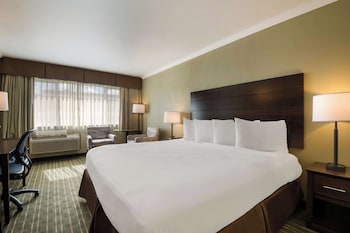 Standard Room, 1 King Bed, Non Smoking, Refrigerator & Microwave