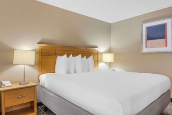 Suite, 1 King Bed, Non Smoking