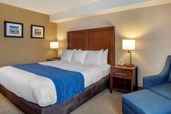 Standard Room, 1 King Bed, Non Smoking
