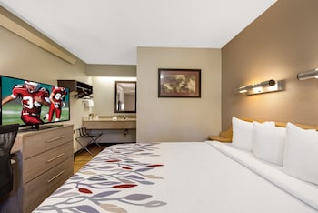 Standard Room, 1 King Bed (Smoke Free)