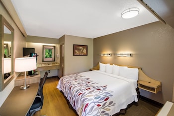 Standard Room, 1 King Bed (Smoke Free)