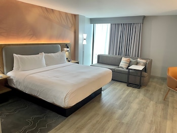 Room, 1 King Bed