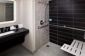 Room, 1 King Bed, Accessible (Shower)