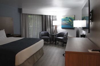 Hilyard Creekside Room, 1 King Bed