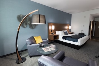 Hayward Room, 1 King Bed
