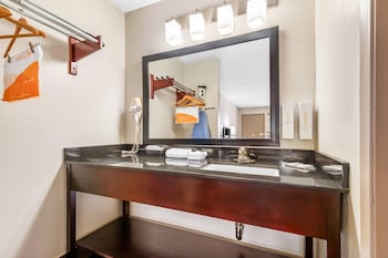 Standard Room, 1 King Bed, Non Smoking (Pet Friendly)