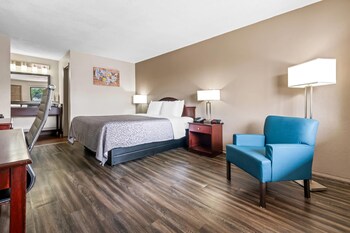 Standard Room, 1 King Bed, Non Smoking (Pet Friendly)