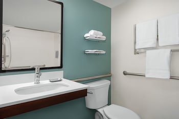 Suite, 1 Bedroom (Mobility/Hearing Access, Roll-In Shwr)