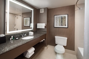 Room, 1 King Bed