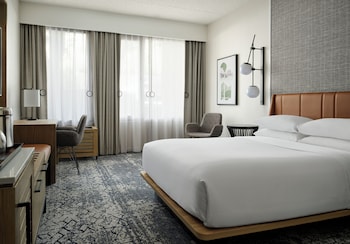 Room, 1 King Bed