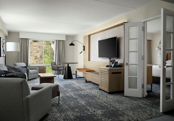 Executive Suite, 1 Bedroom, Mountain View
