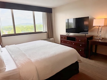 Room, 1 King Bed, Roll-in Shower (Communications Accessible)
