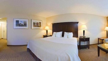 Standard Room, 1 King Bed, Accessible (Communications)