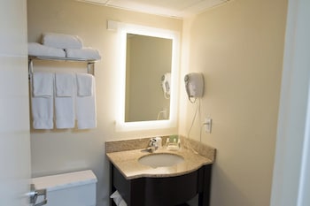 Standard Room, 1 King Bed with Sofa bed