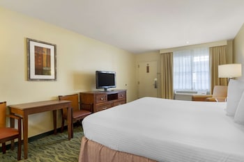 Suite, 1 King Bed, Accessible, Kitchenette (with Sofabed)