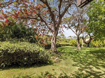 Condo, 2 Bedrooms, Garden View (3A)