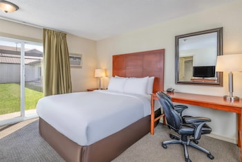 Room, 1 Queen Bed, Non Smoking, Jetted Tub