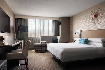 Room, 1 King Bed (Mobility Accessible, Roll-In Shower)