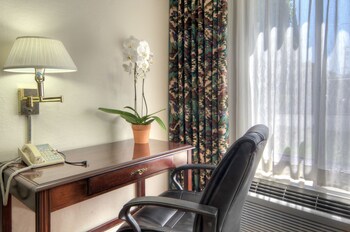 Apartment, 2 Bedrooms, Non Smoking