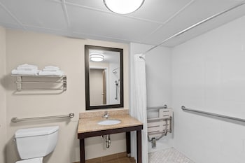 Room, 1 King Bed, Accessible, Non Smoking