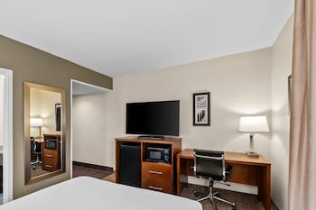 Room, 1 Queen Bed, Non Smoking