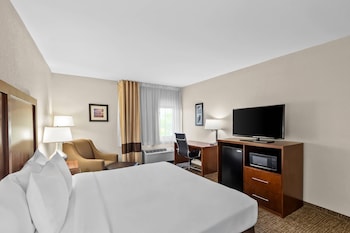 Standard Room, 1 King Bed, Non Smoking