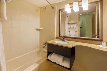 Room, 1 Double Bed, Mobility Accessible, Non Smoking (Roll-in Shower)