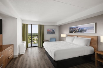 Suite, 1 King Bed, Non Smoking, Kitchen (Living Room;with Sofabed)