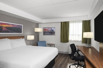 Standard Room, 1 King Bed, Non Smoking (Walk-in Shower;Pet Friendly)