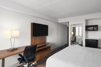 Standard Room, 1 King Bed, Non Smoking (Walk-in Shower;Pet Friendly)