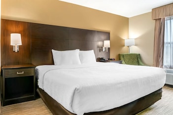 Room, 1 King Bed, Non Smoking (Upgrade)