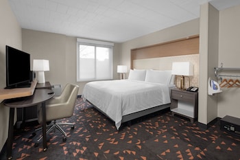 Room, 1 King Bed, Accessible (Accessible Tub)