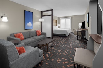 Suite, 1 King Bed with Sofa bed